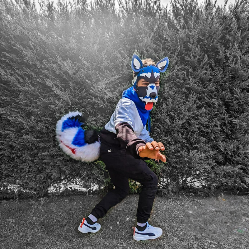 TAIL "PUPPY OS"