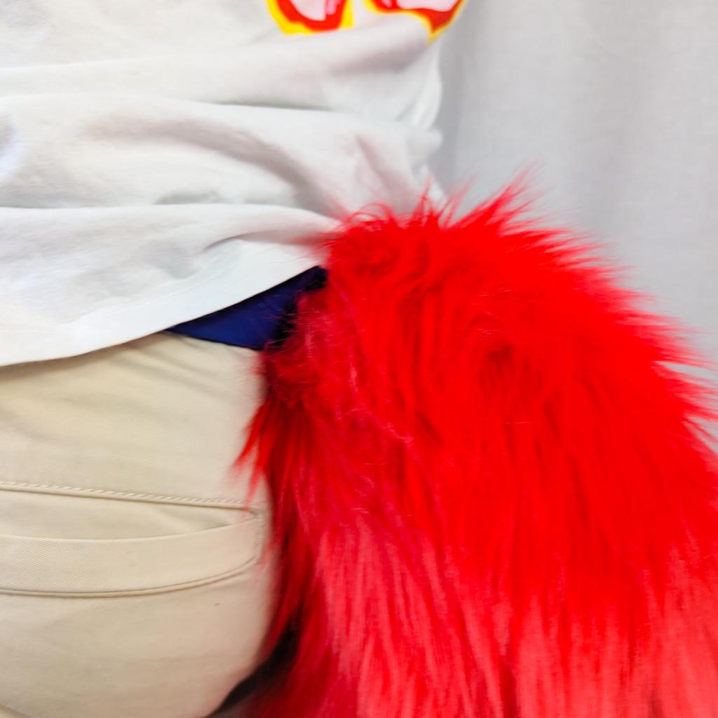 Model “FLASH OF FOX”