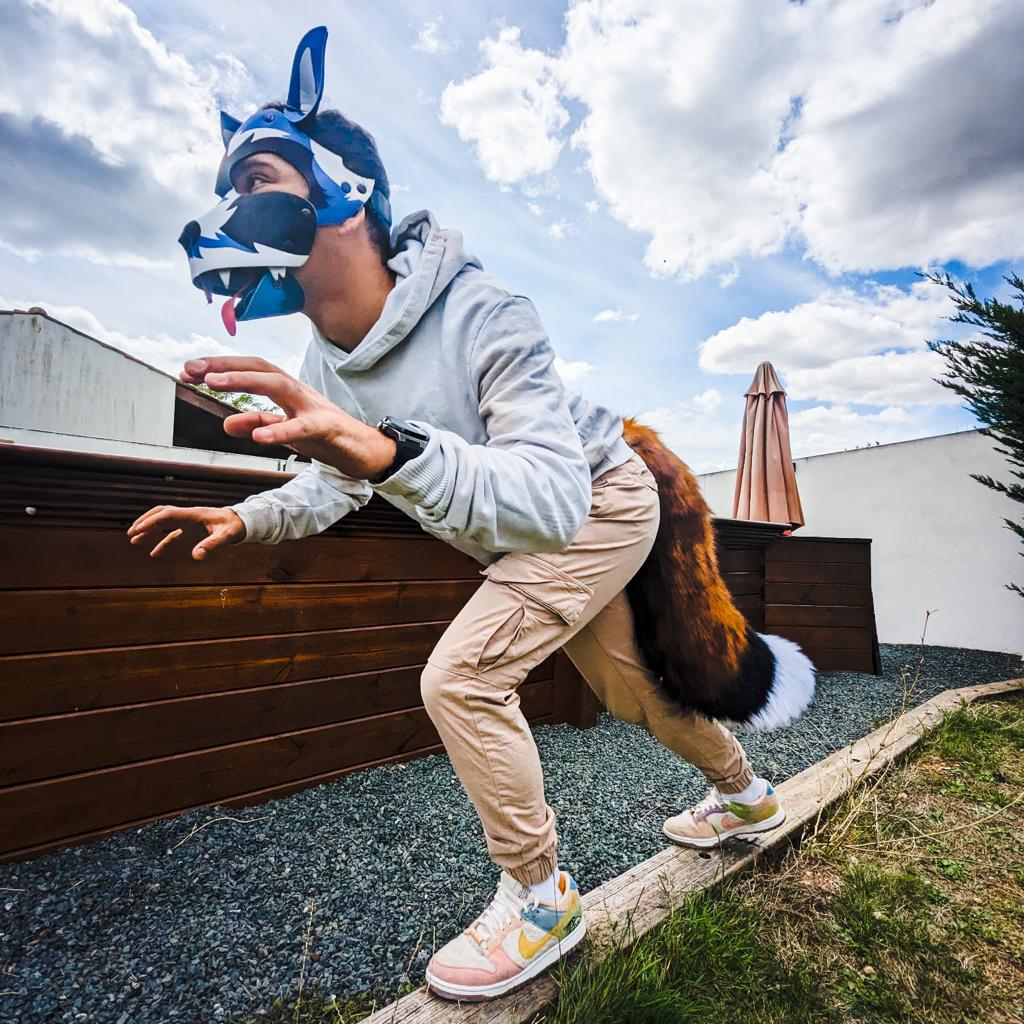 Model “FLASH OF FOX”