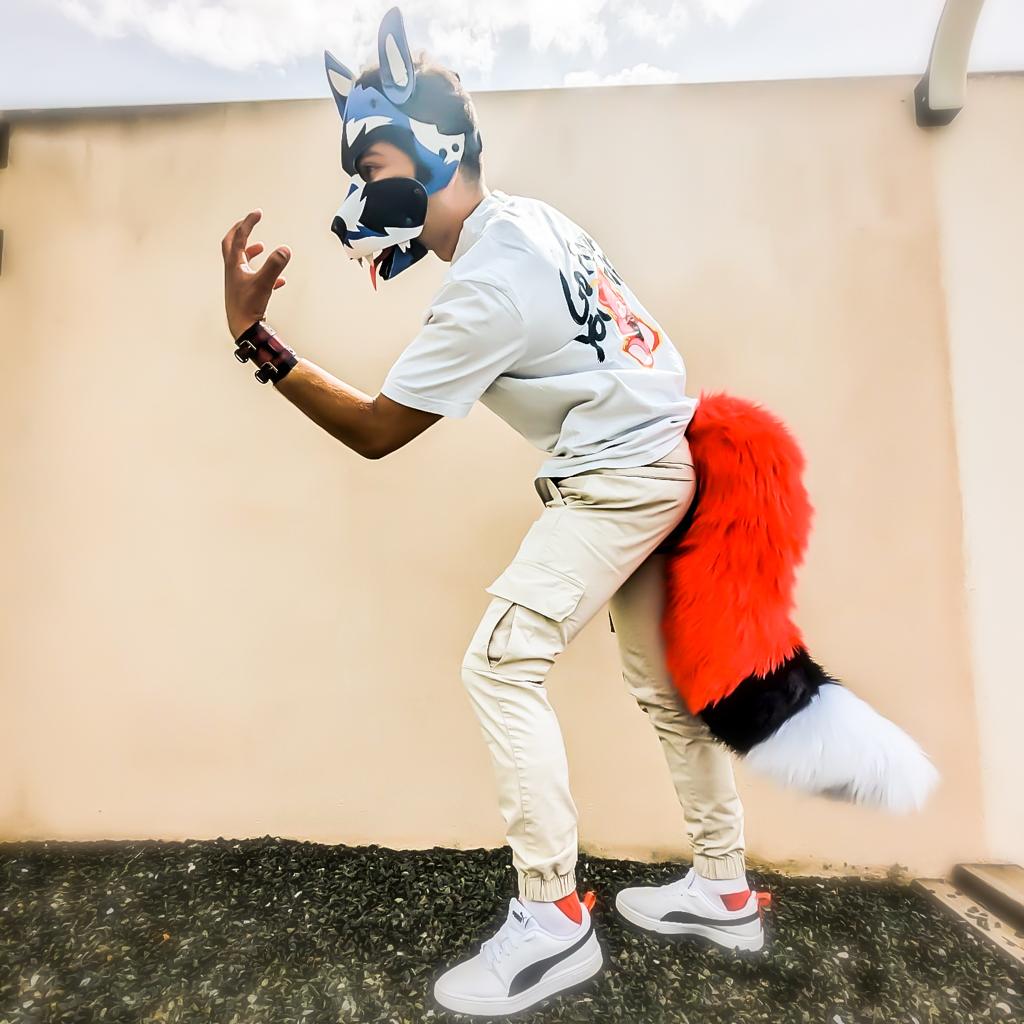 Model “FLASH OF FOX”