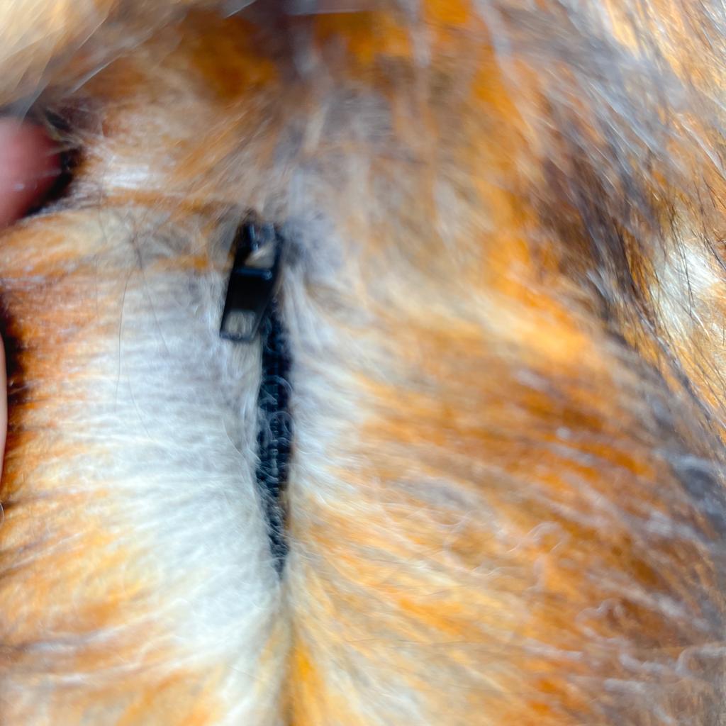 “FOX FLASH” FIRE