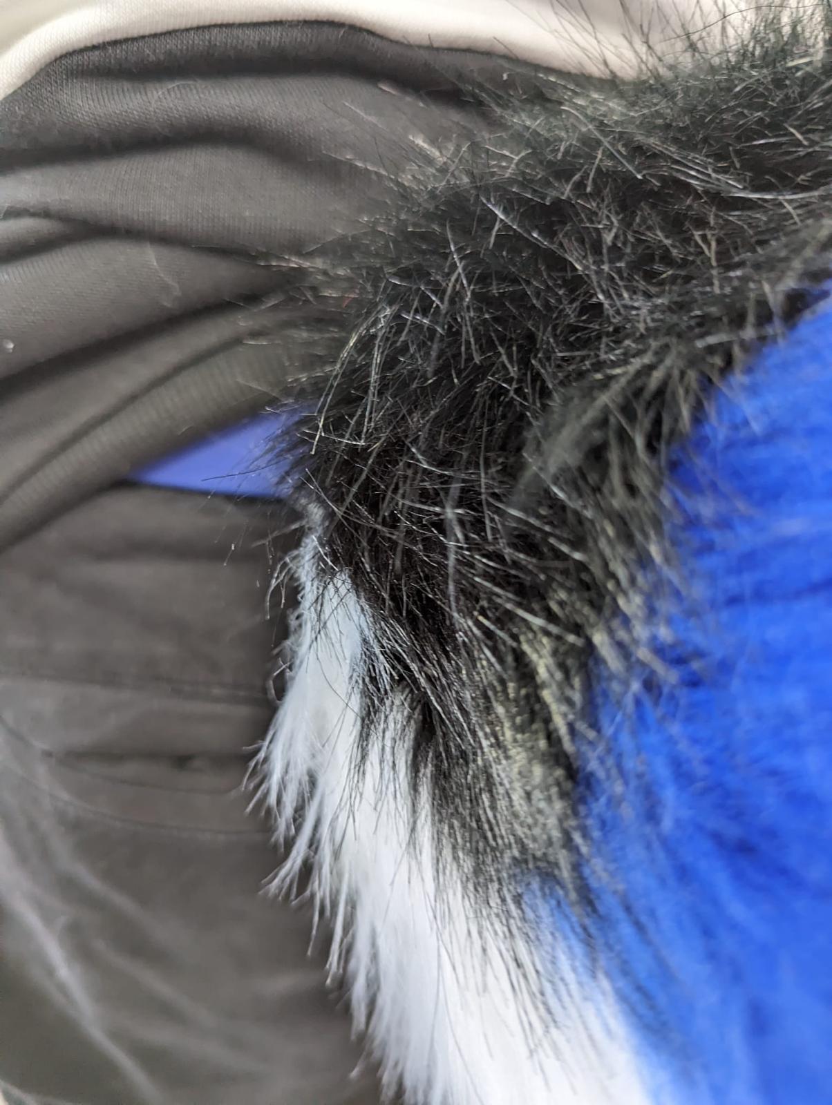 TAIL "PUPPY OS"