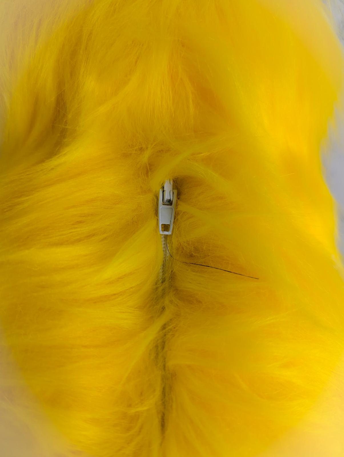 Modèle "WOLF SIGNATURE"