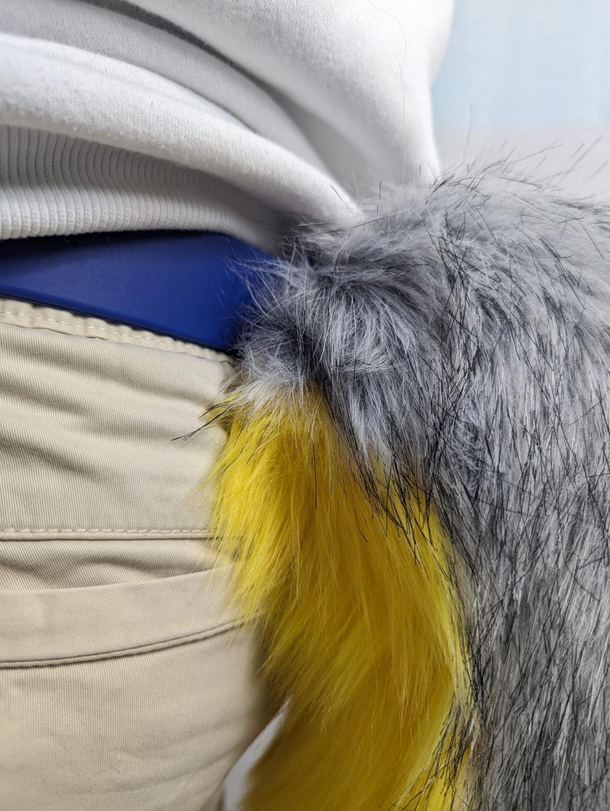 PACK "TAIL + PAWS"