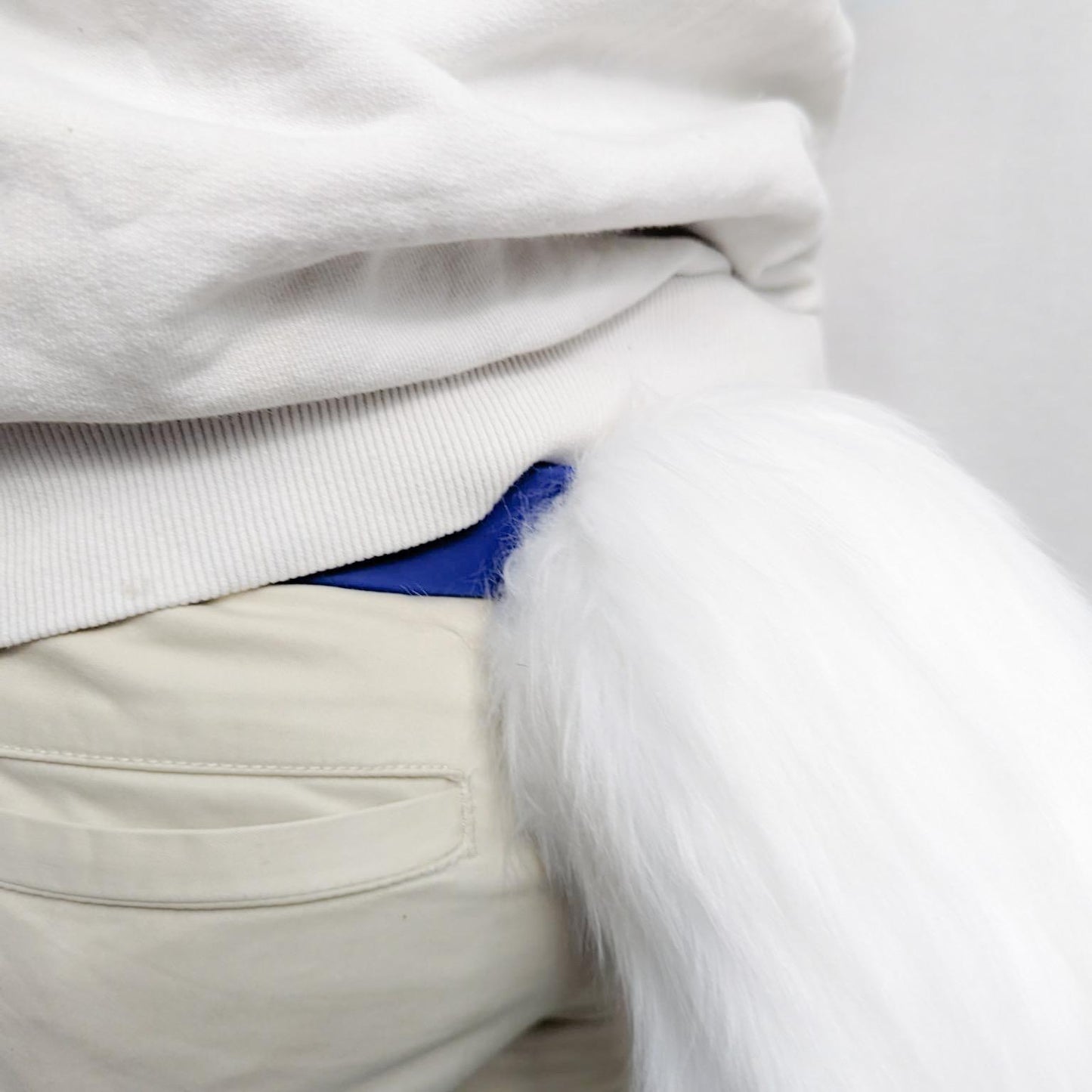 PACK "TAIL + PAWS"