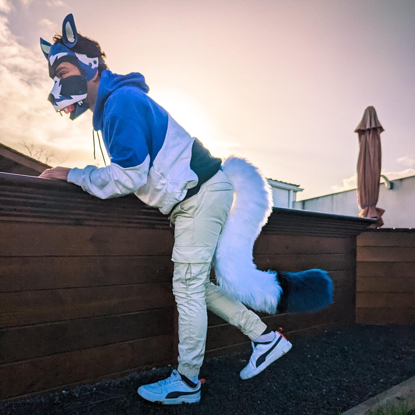PACK "TAIL + PAWS"