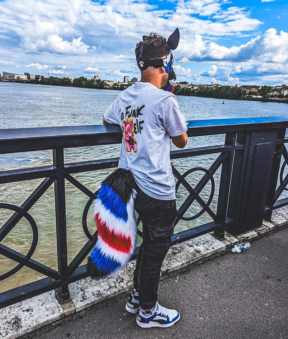 Modèle "WOLF PULSAR"