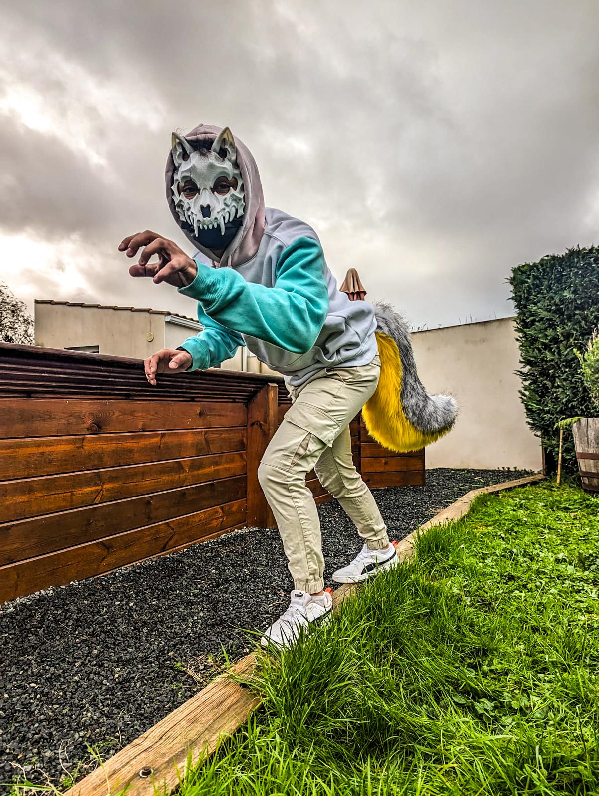 PACK "TAIL + PAWS"