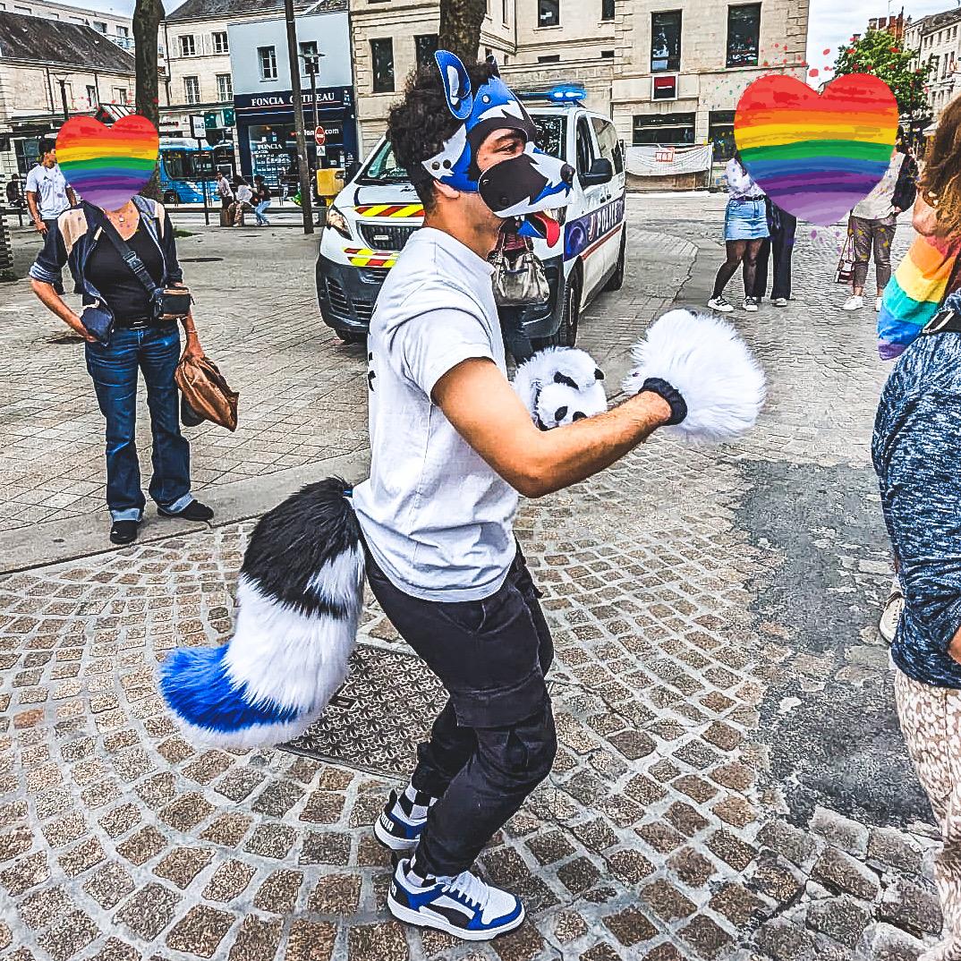 Modèle "WOLF NOVA"