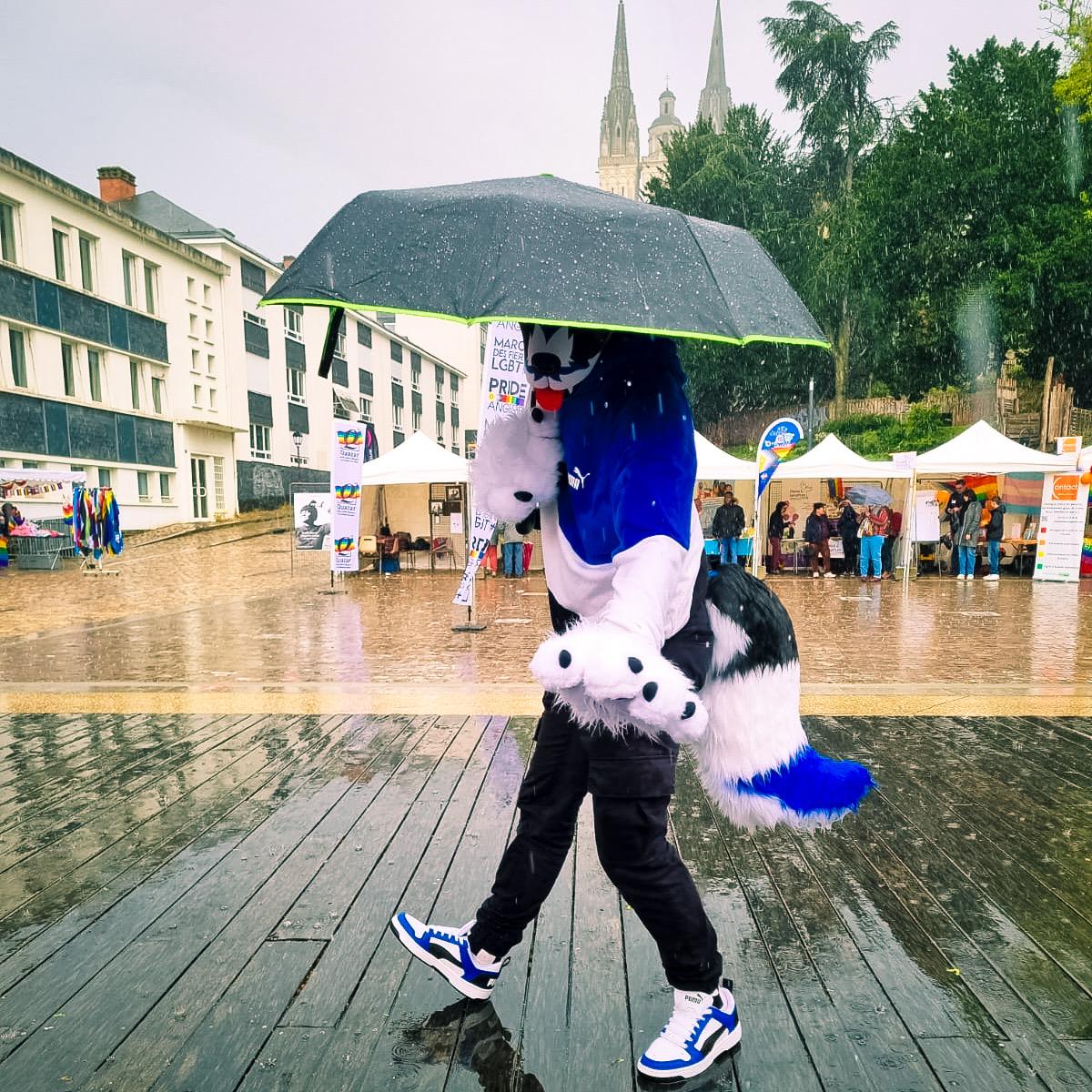 Modèle "WOLF NOVA"