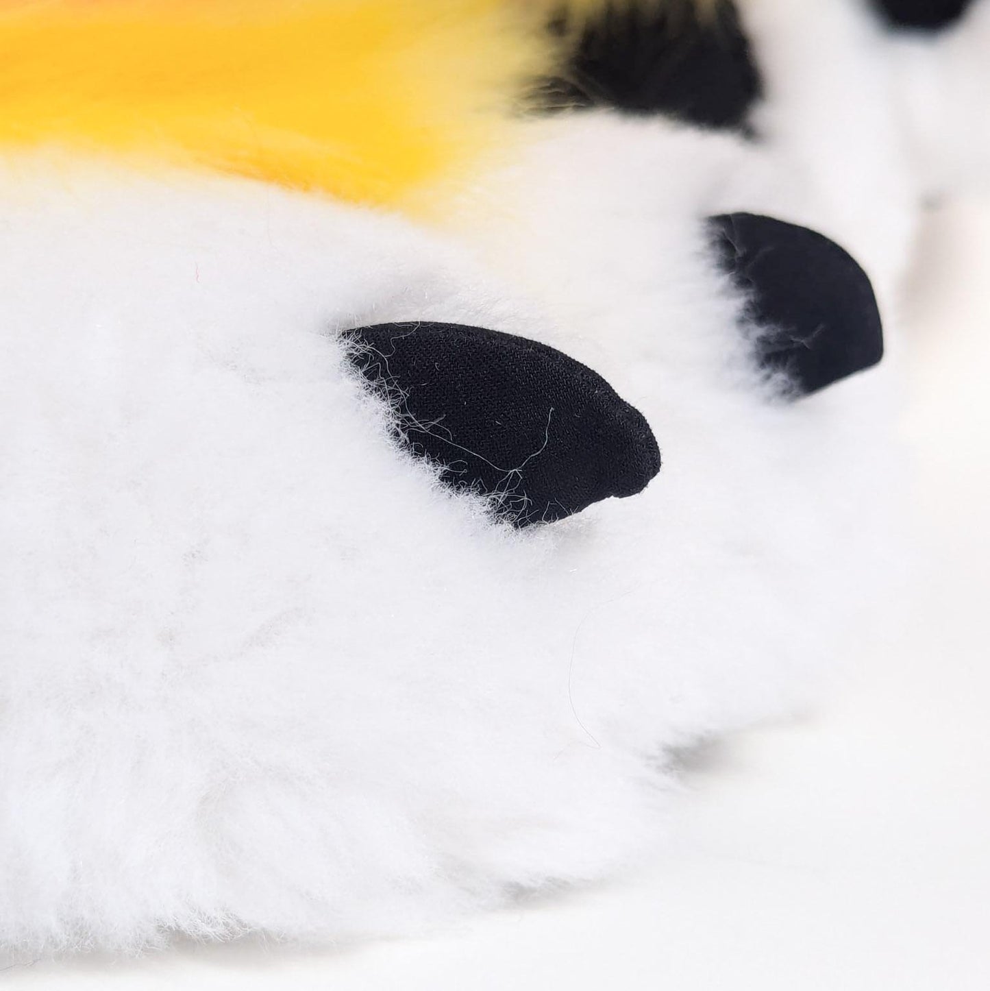 PACK "TAIL + PAWS"