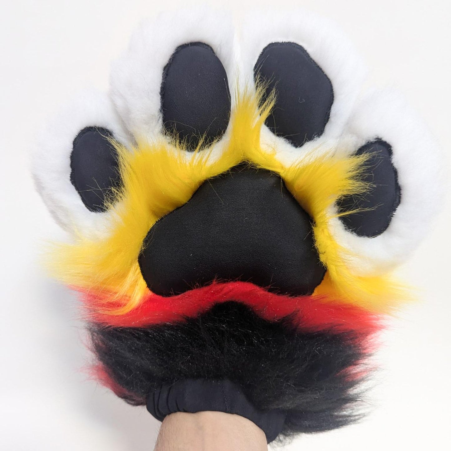 PACK "TAIL + PAWS"