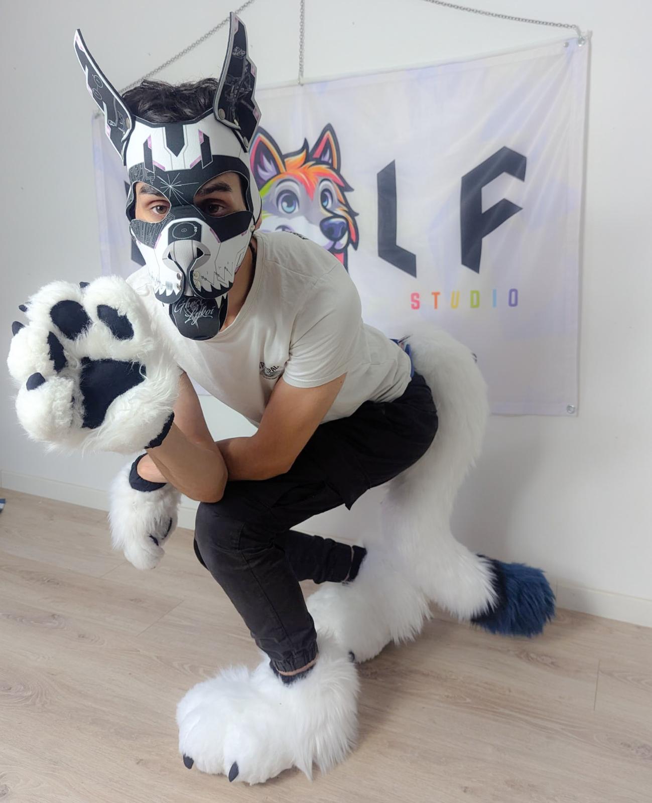 PACK : "TAIL + PAWS + FEET PAWS"