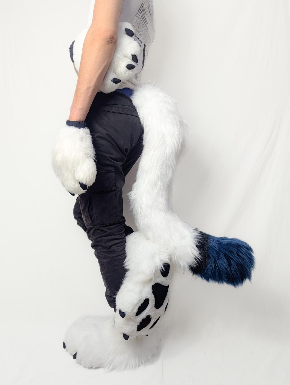 PACK : "TAIL + PAWS + FEET PAWS"