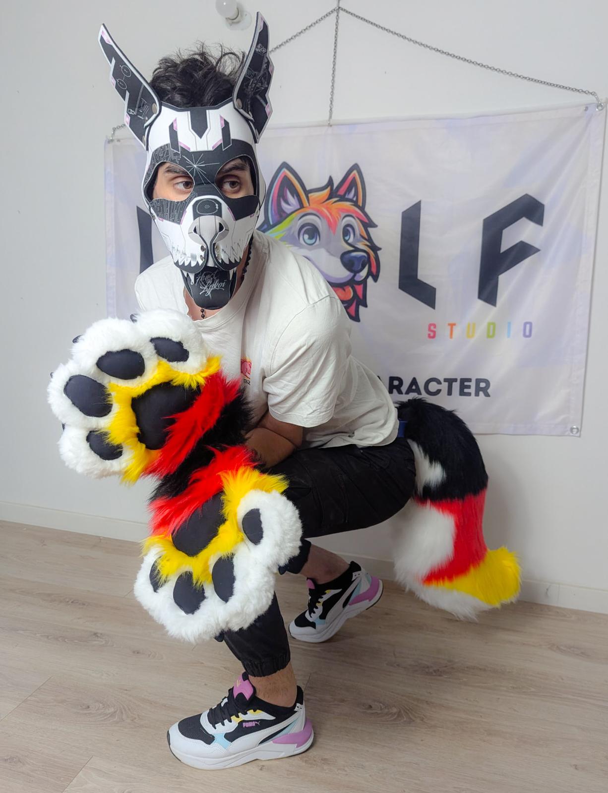 PACK "TAIL + PAWS"