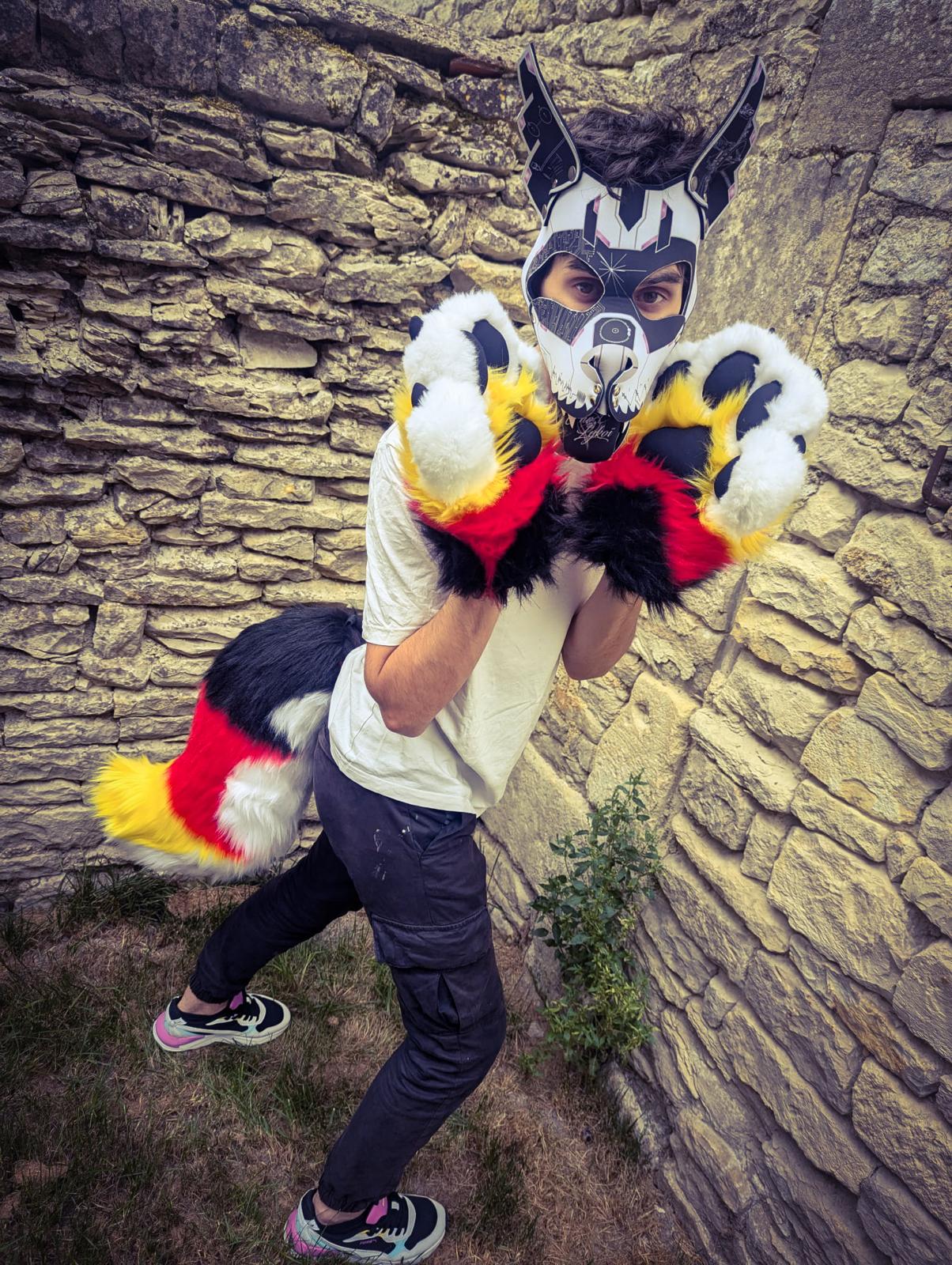 PACK "TAIL + PAWS"