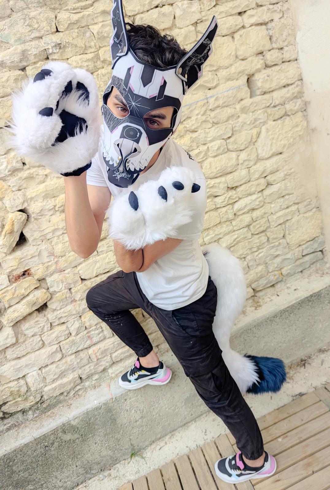 PACK "TAIL + PAWS"