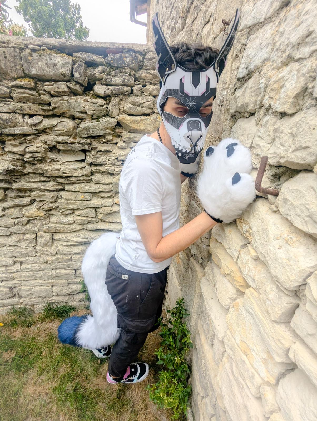 PACK "TAIL + PAWS"