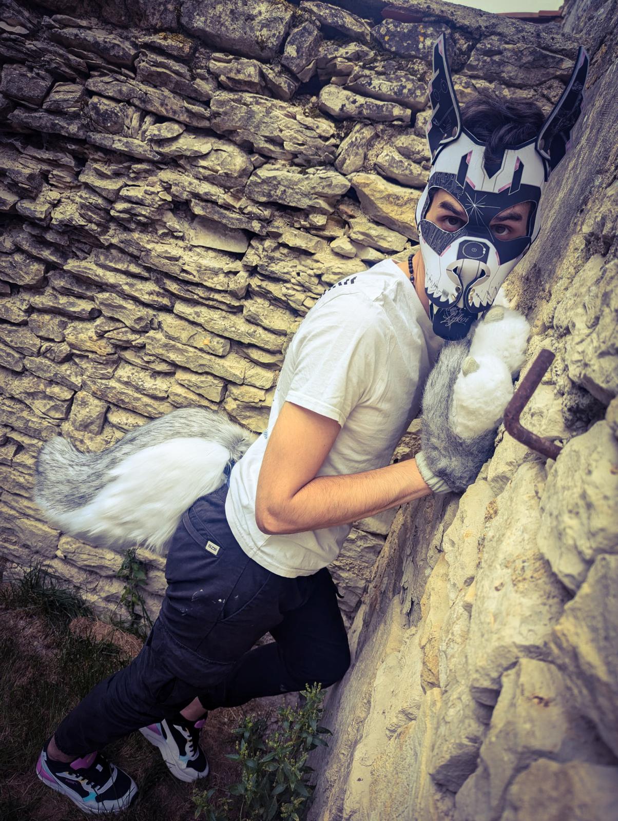 PACK "TAIL + PAWS"