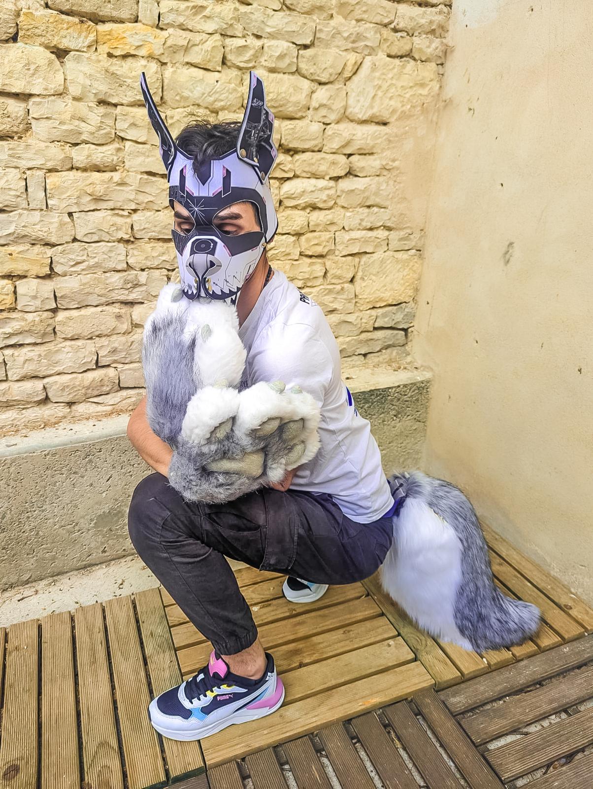PACK "TAIL + PAWS"
