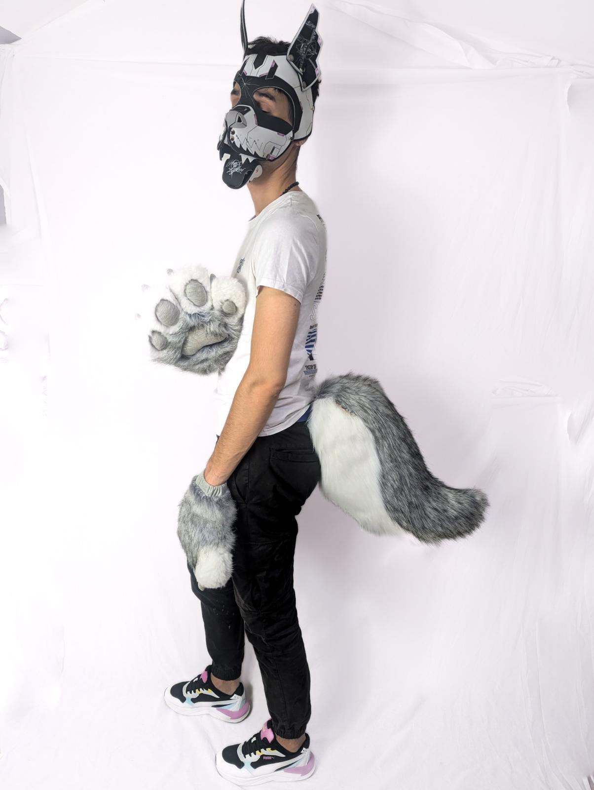 PACK "TAIL + PAWS"