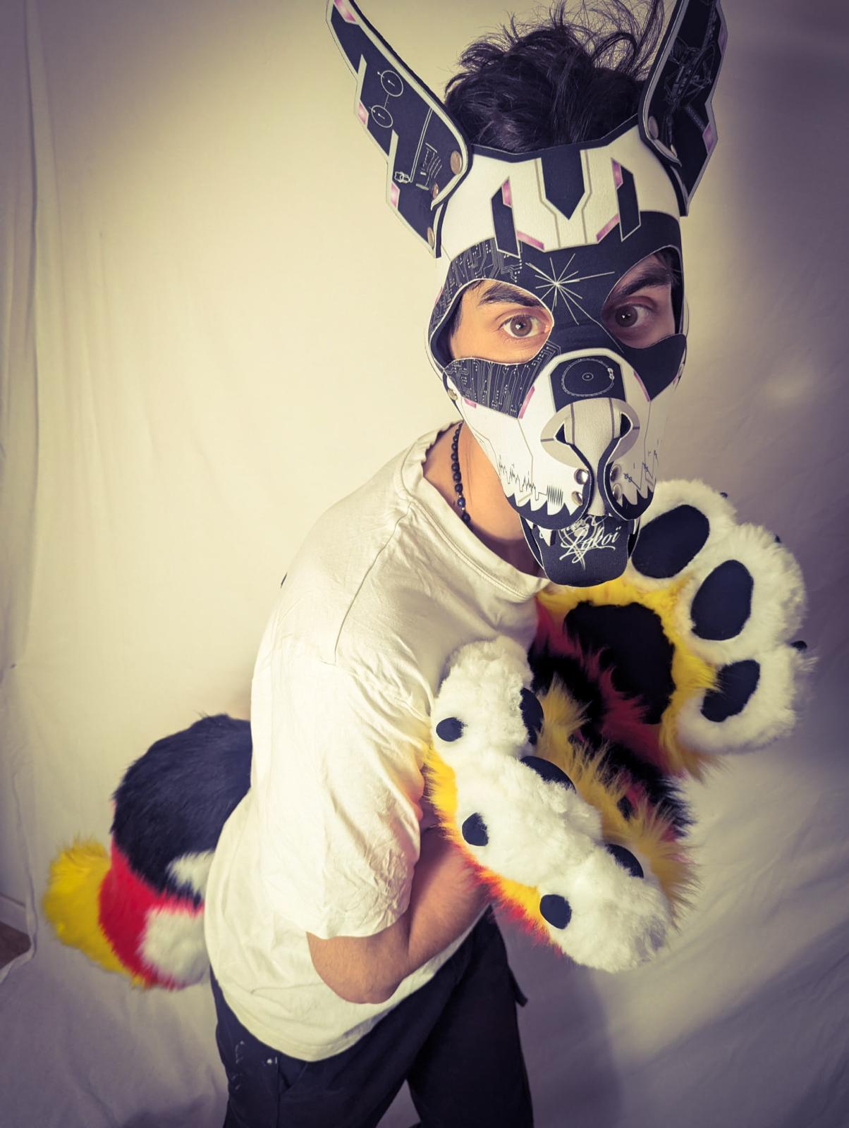 PACK "TAIL + PAWS"