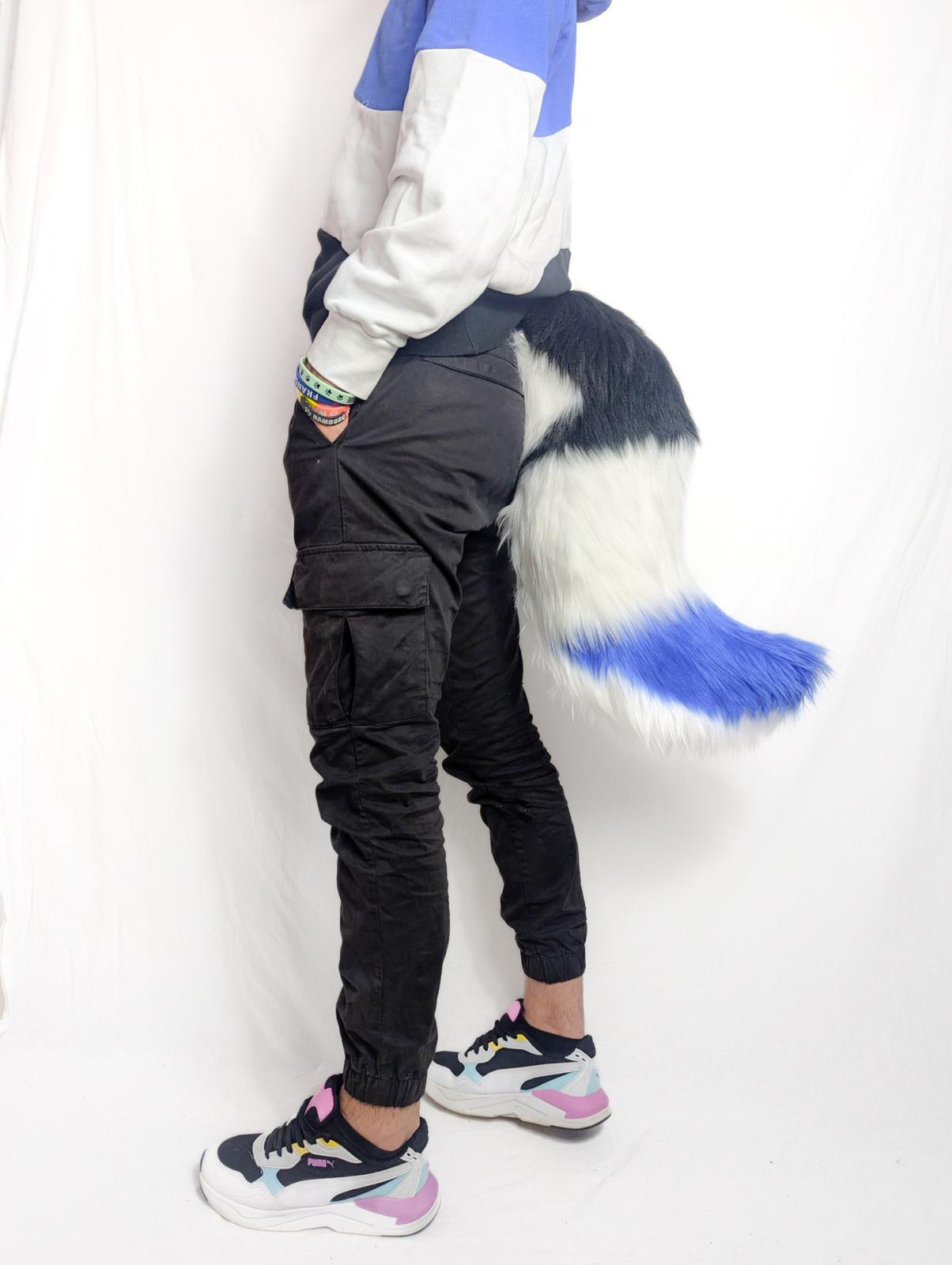 Modèle "WOLF NOVA"