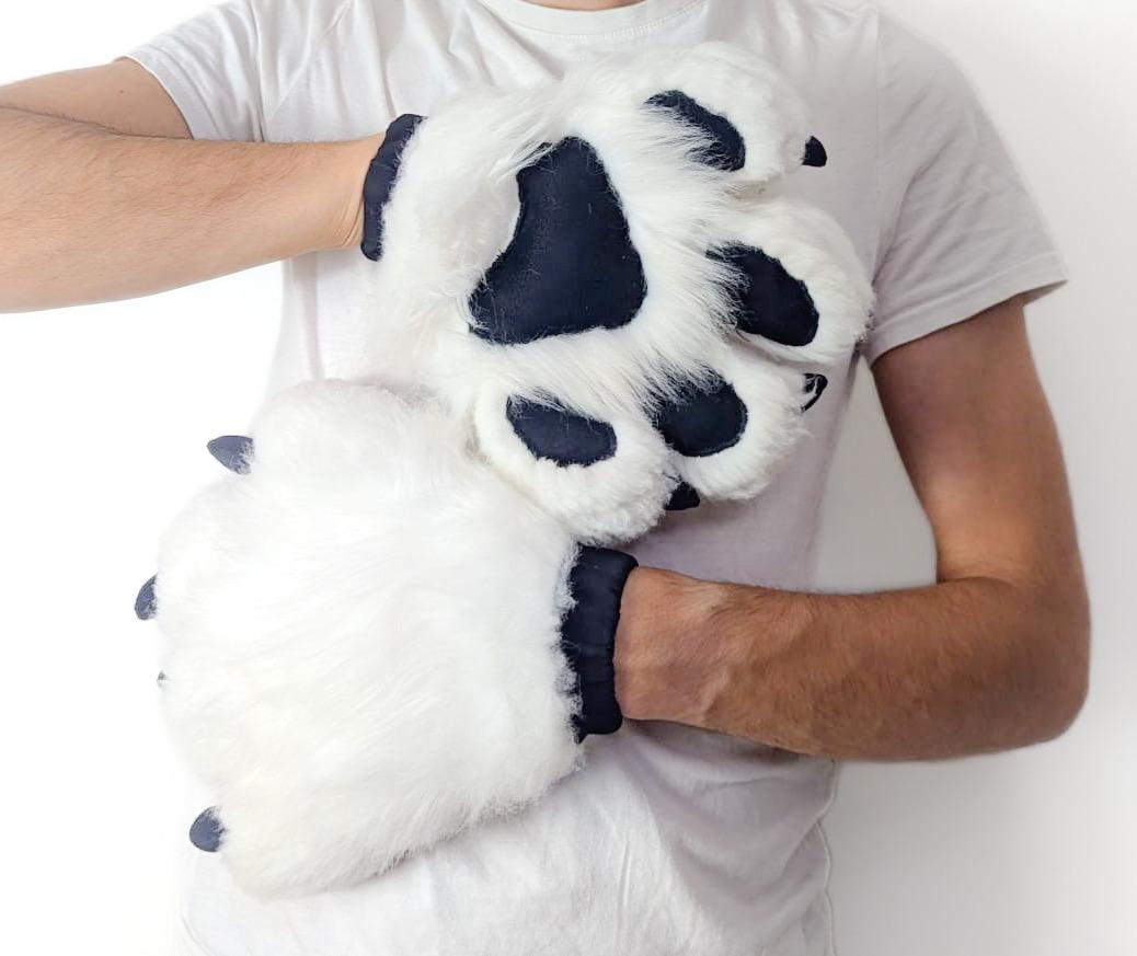 Modèle "PAWS CLASSIQUE"