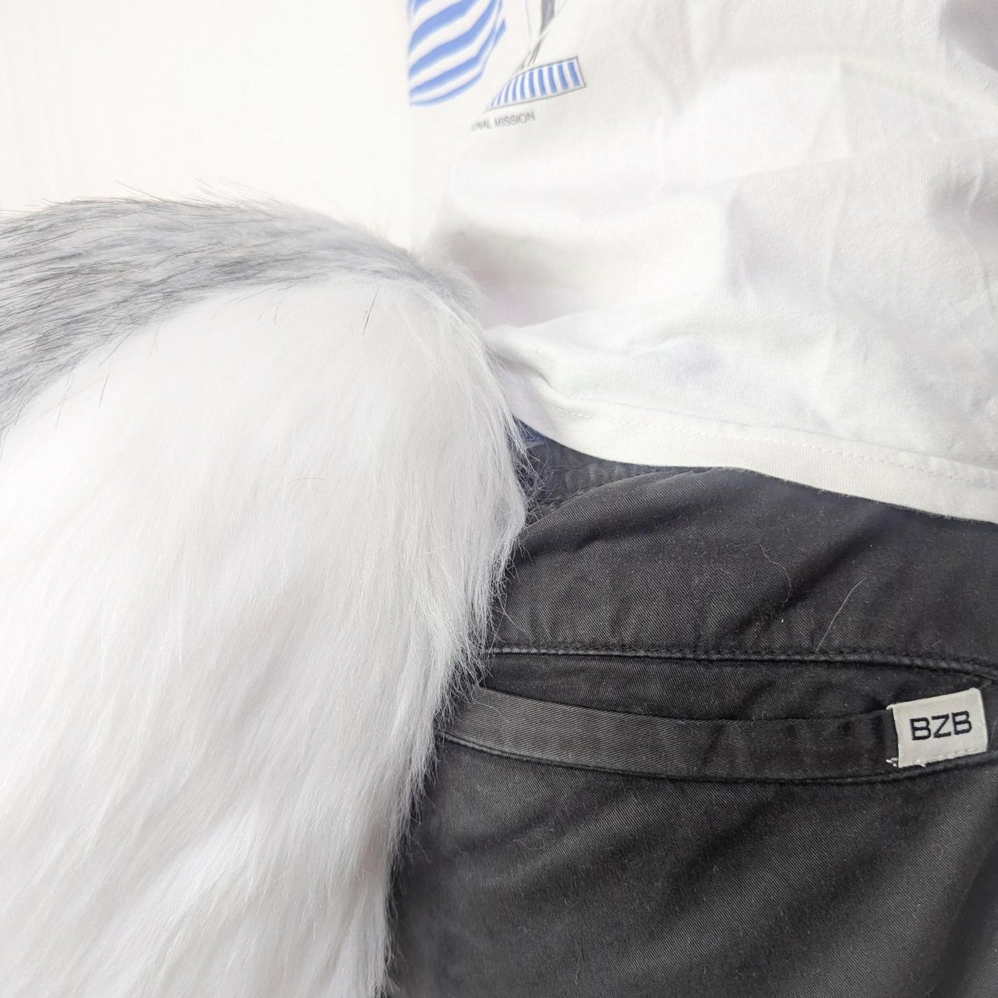 PACK "TAIL + PAWS"