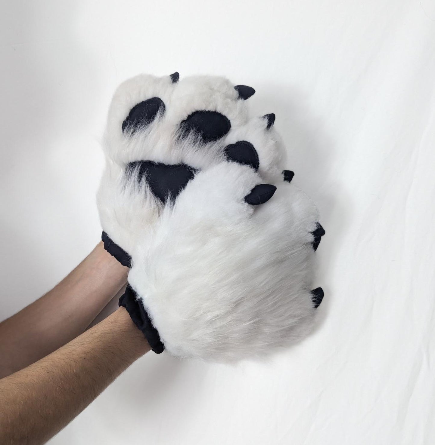 Modèle "PAWS CLASSIQUE"