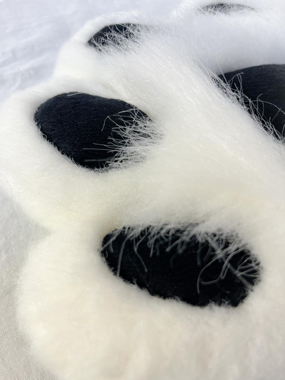 PACK "TAIL + PAWS"