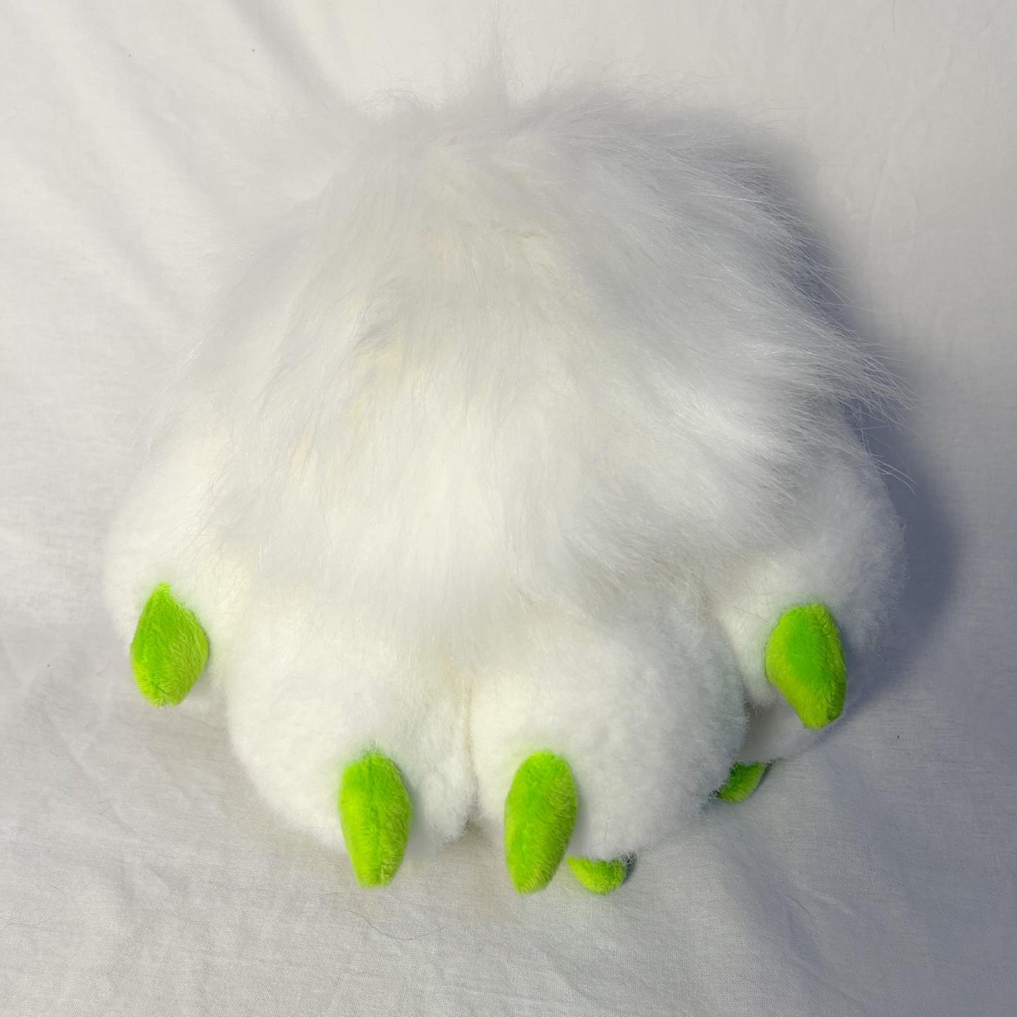 Modèle "PAWS CLASSIQUE"