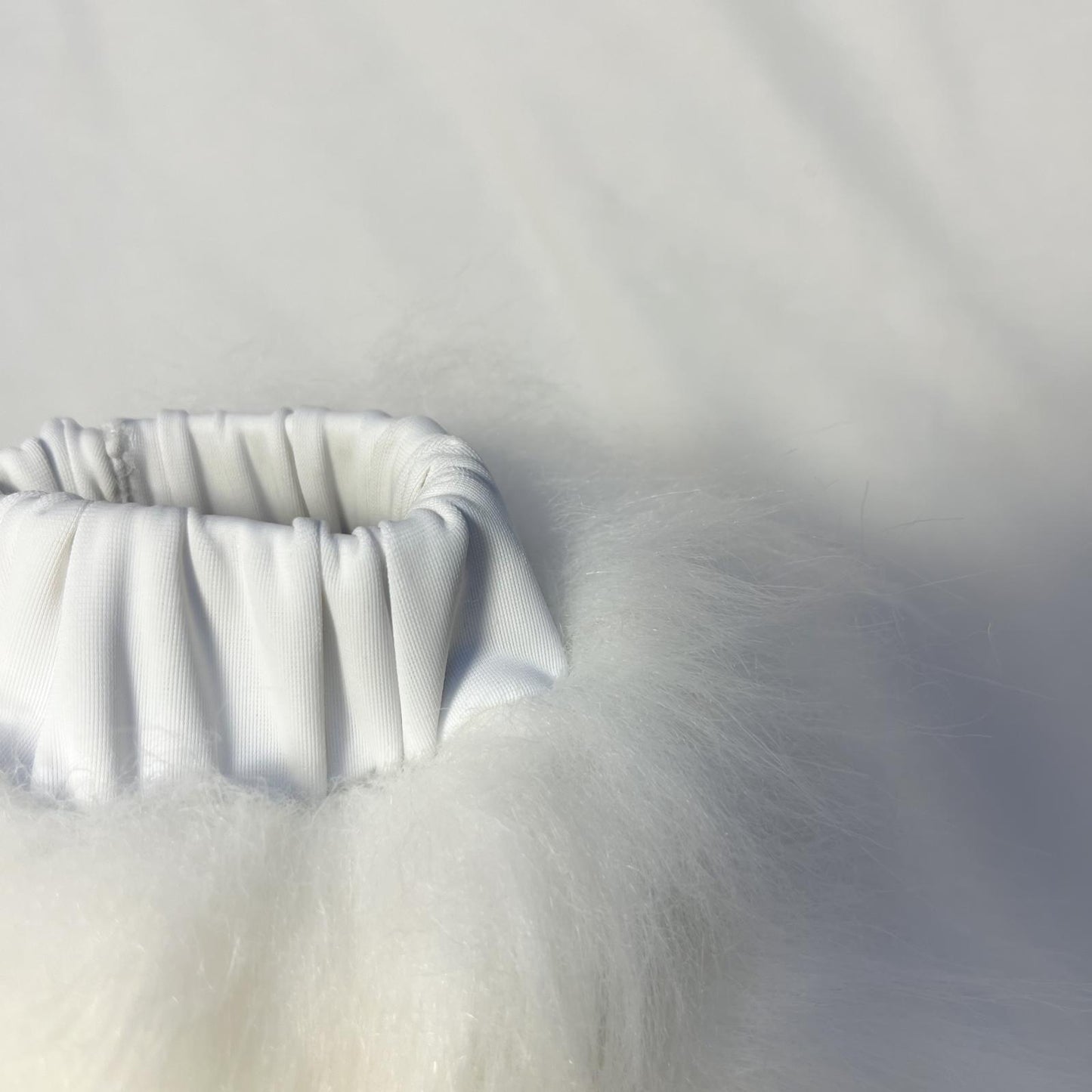 PACK "TAIL + PAWS"