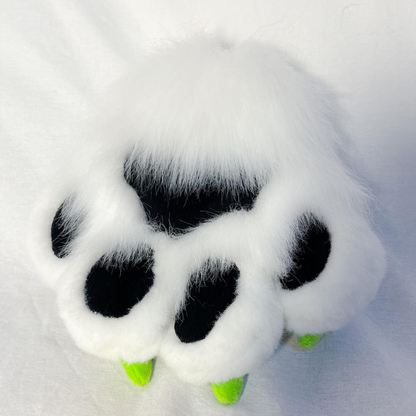 Modèle "PAWS CLASSIQUE"