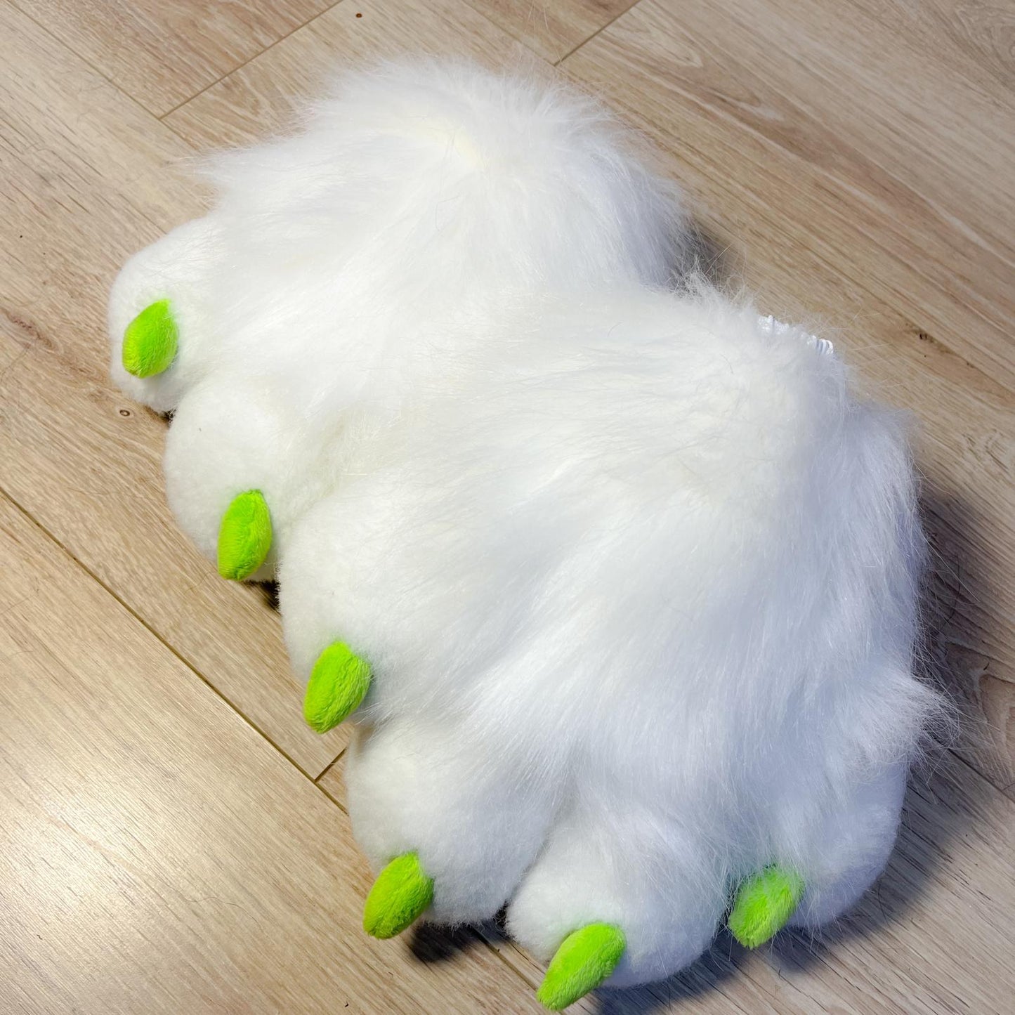 PACK "TAIL + PAWS"