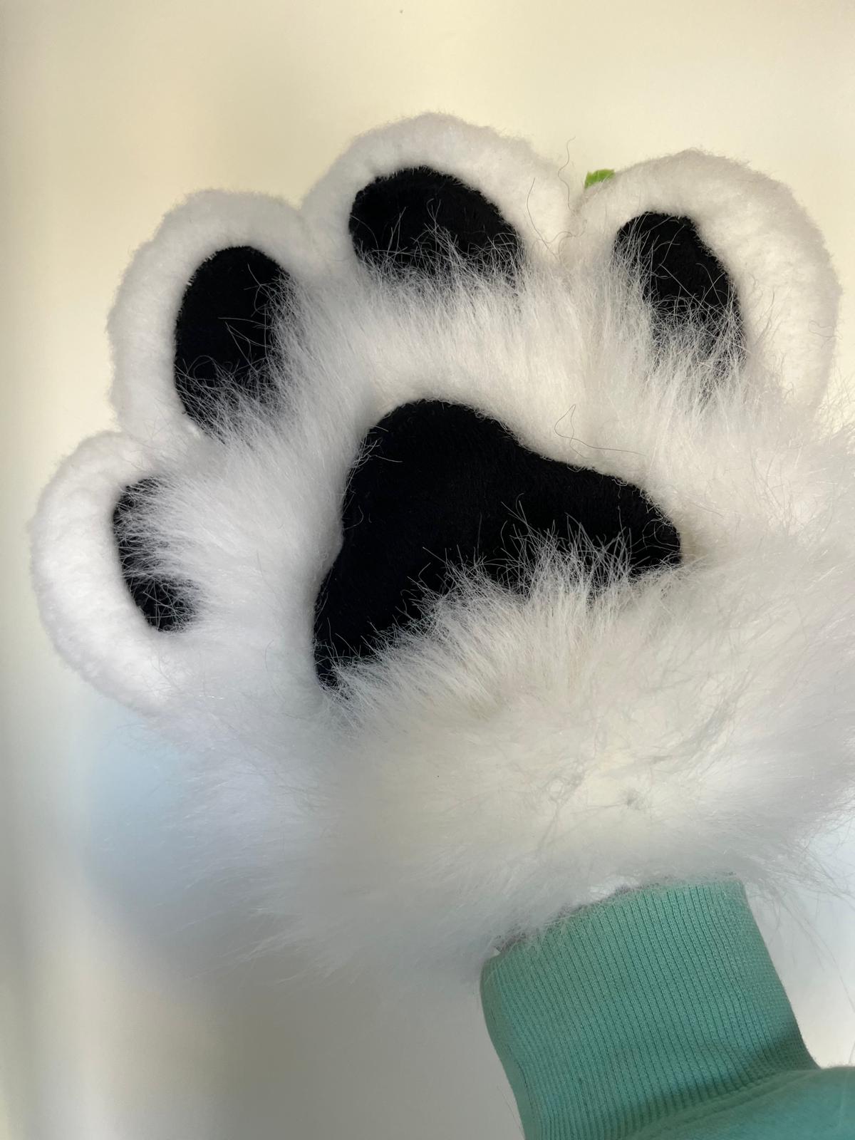 Modèle "PAWS CLASSIQUE"