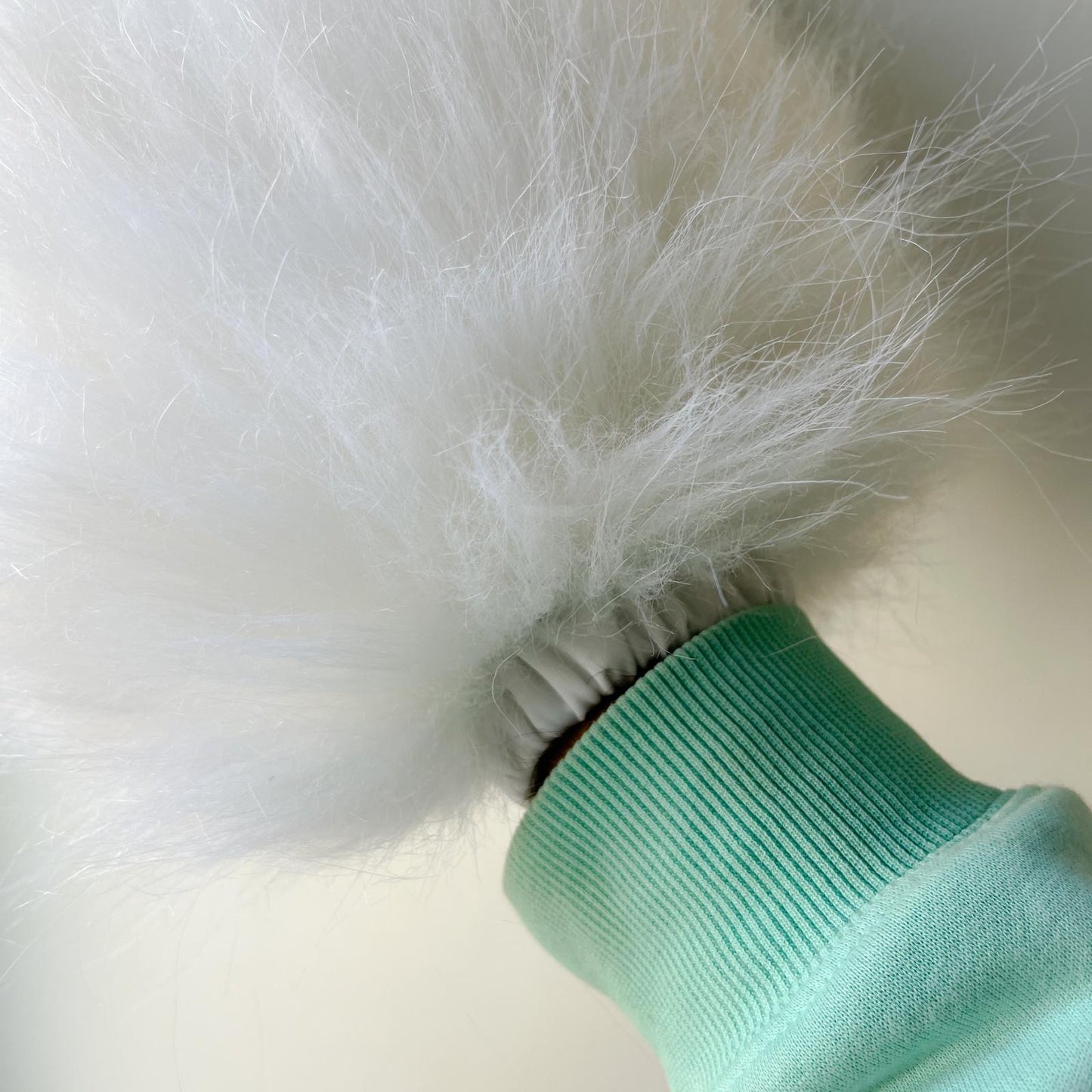 PACK "TAIL + PAWS"