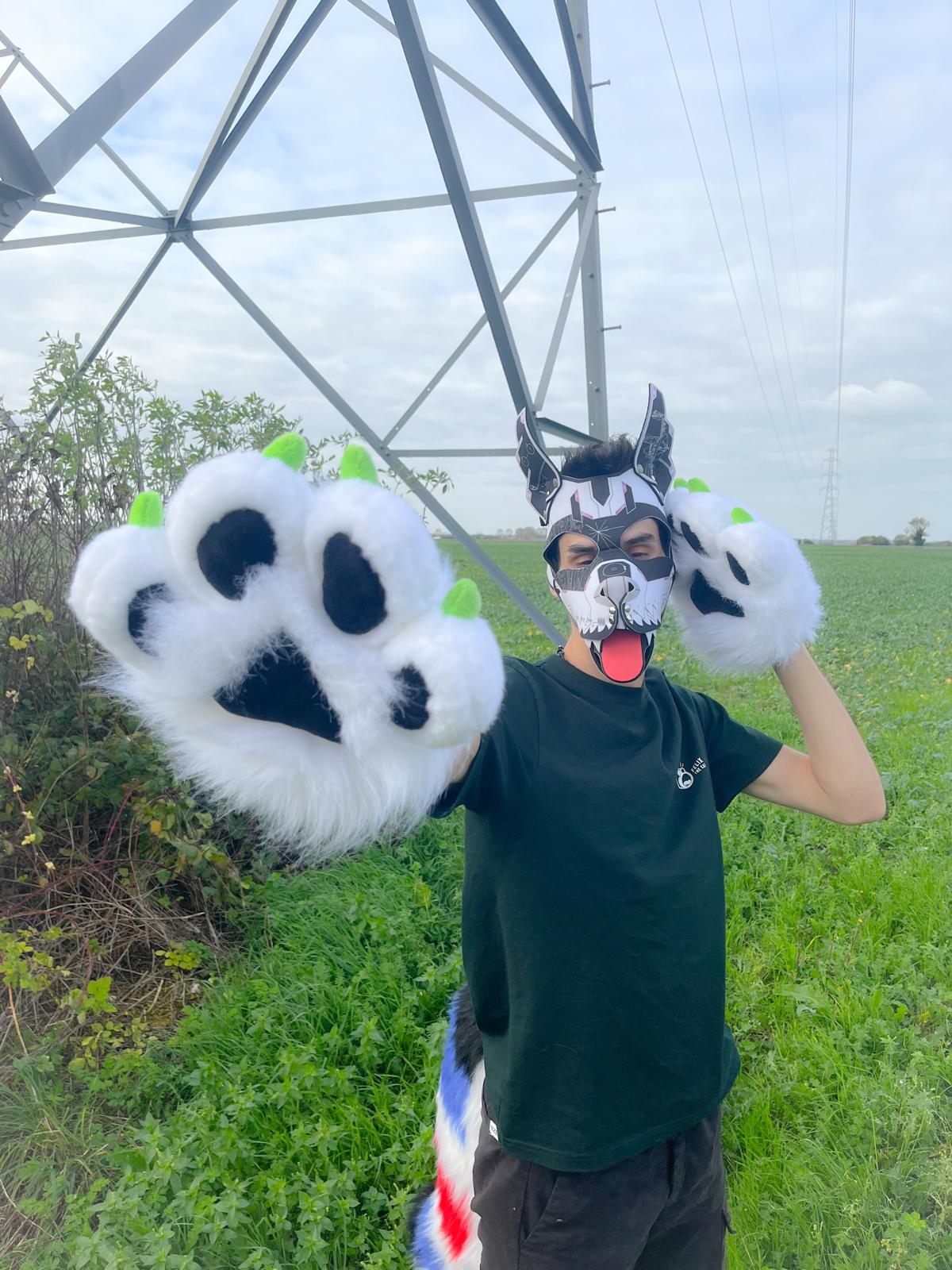 PACK "TAIL + PAWS"
