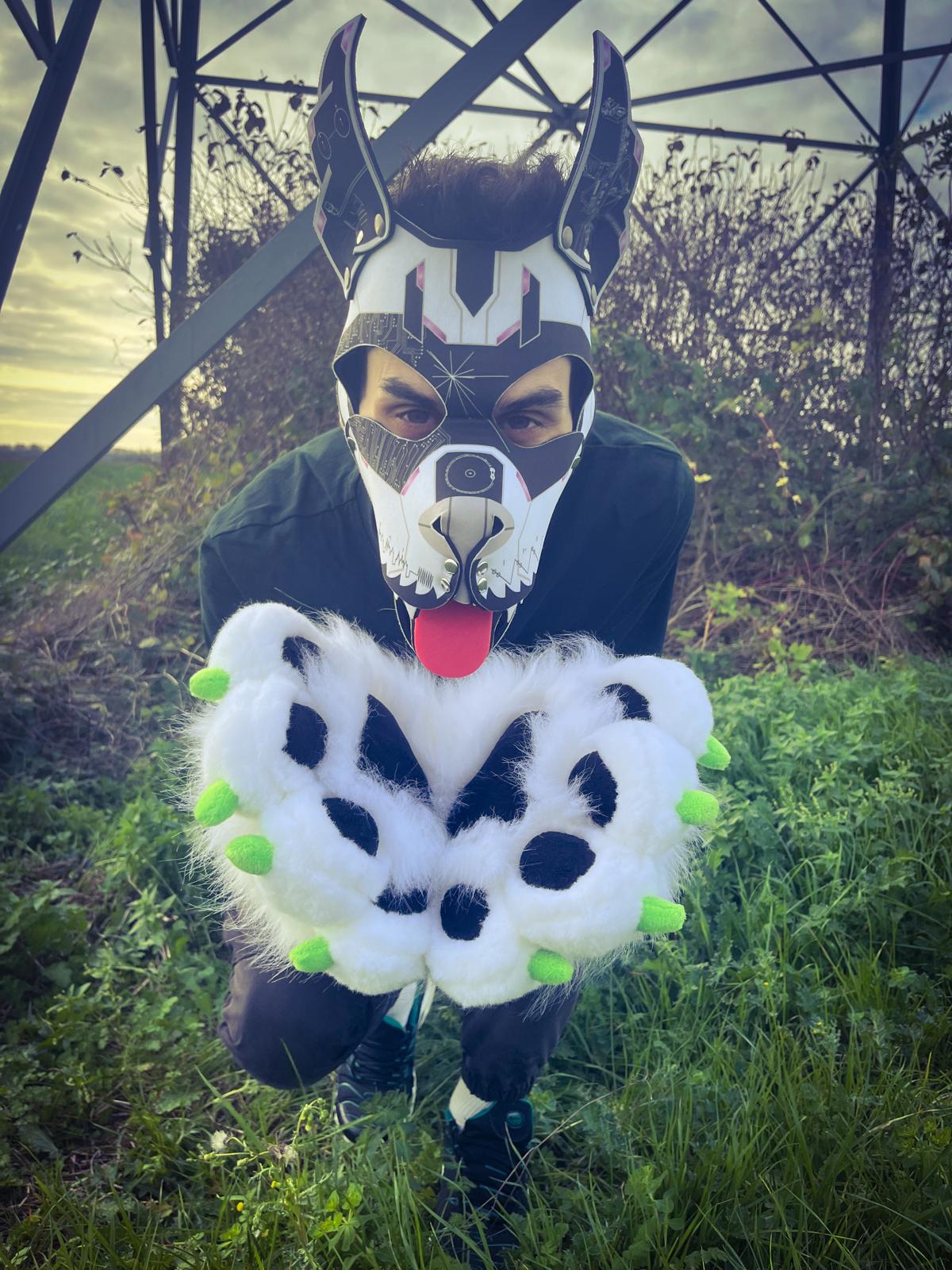 PACK "TAIL + PAWS"