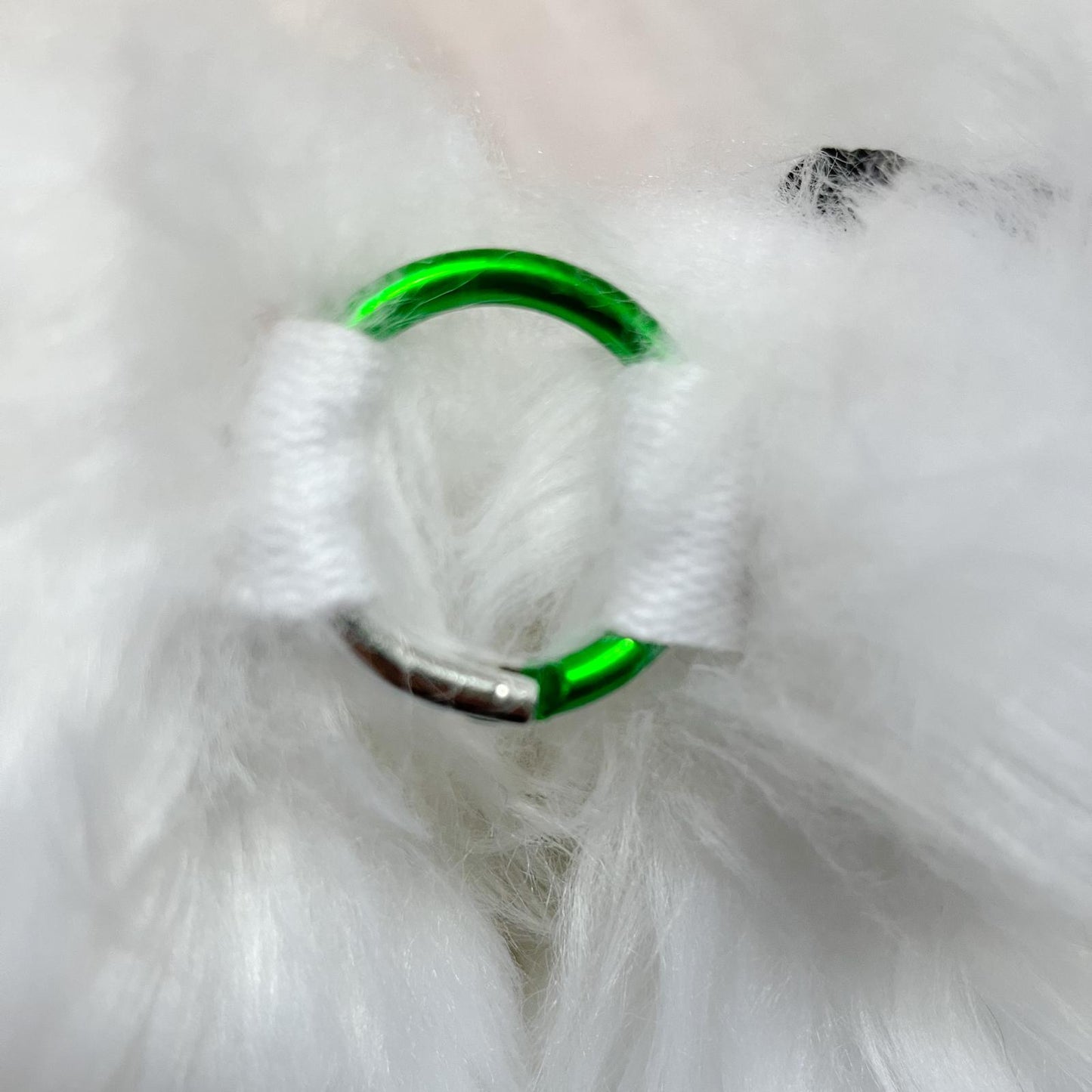 PACK "TAIL + PAWS"