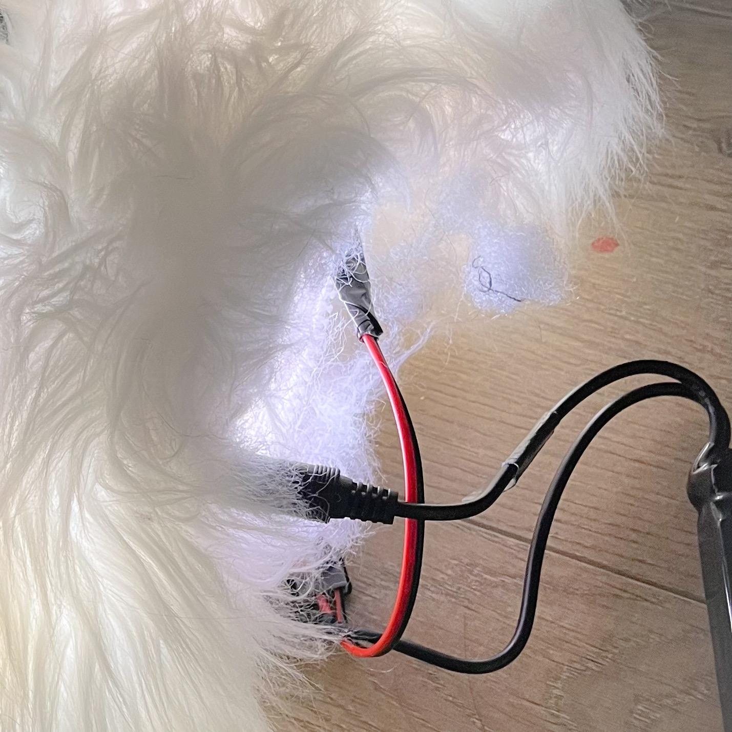 "BOULE DE POIL LED"