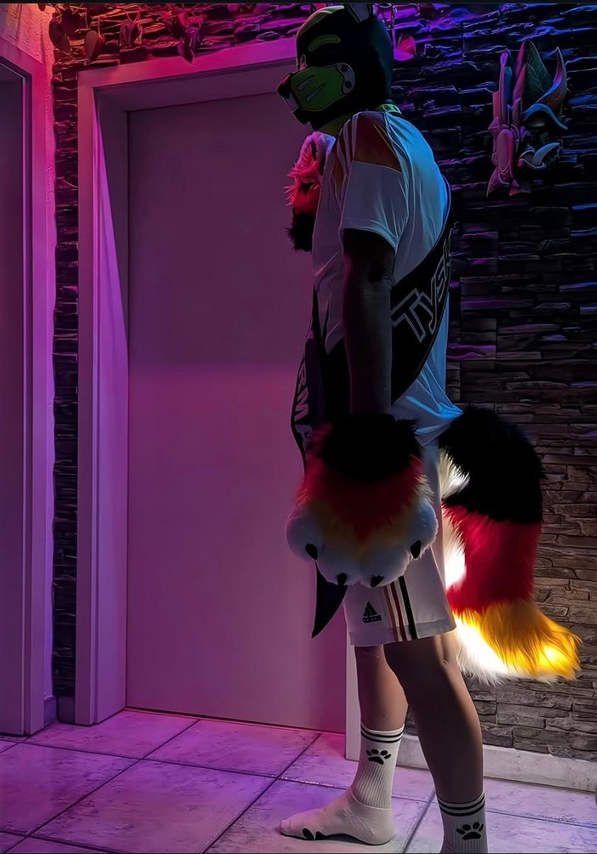 PACK "TAIL + PAWS"