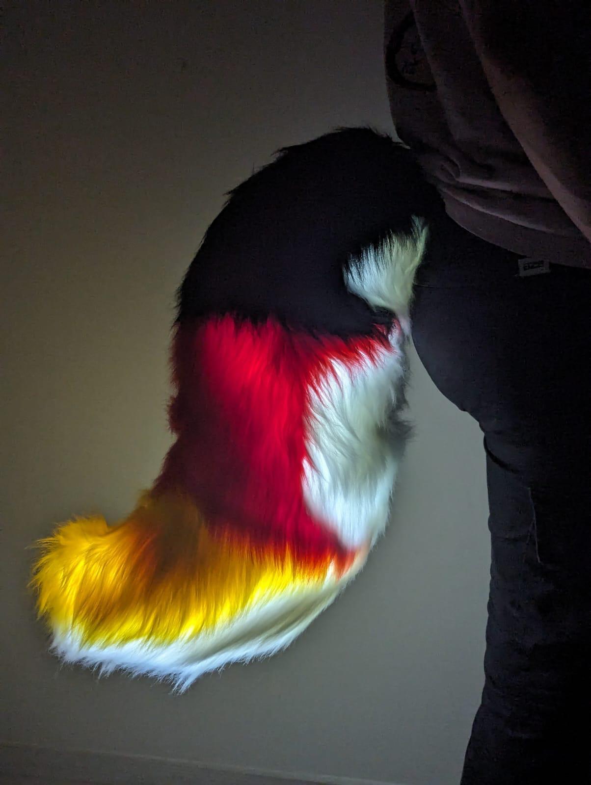 Modèle "WOLF NOVA"