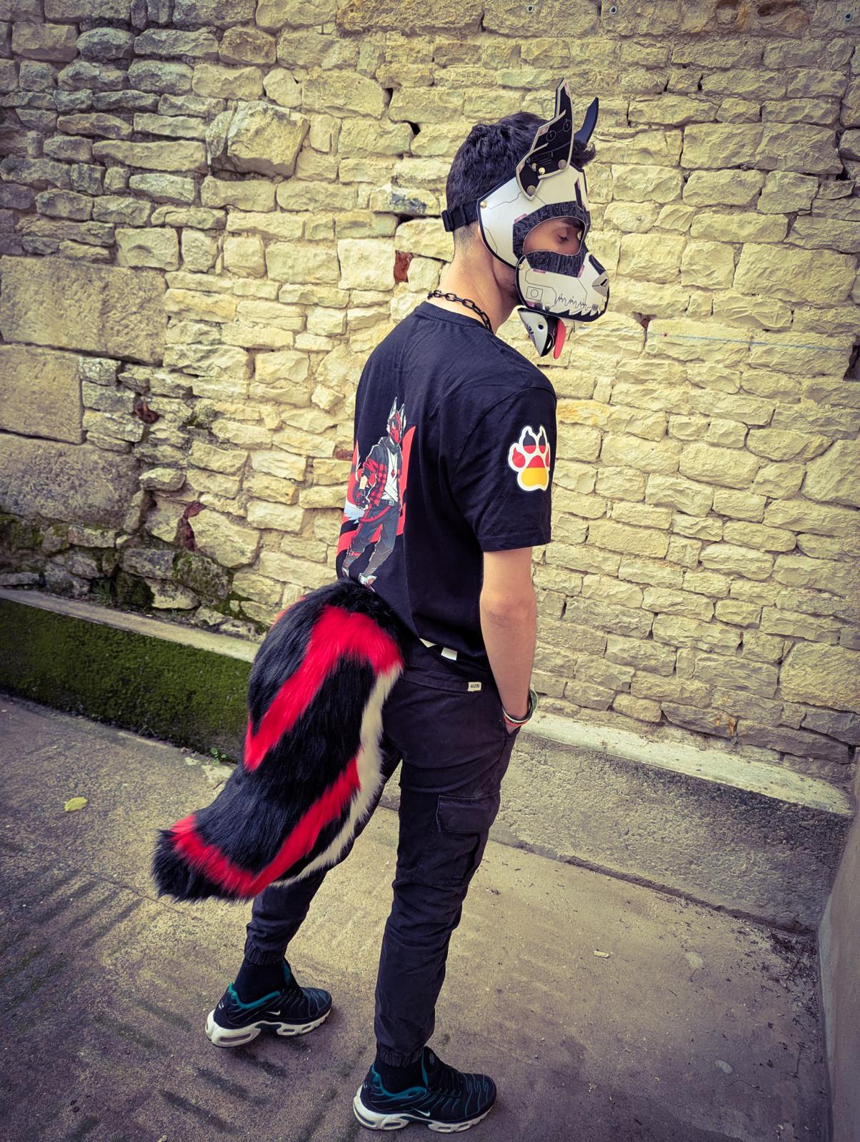 Modèle "WOLF ROVER"