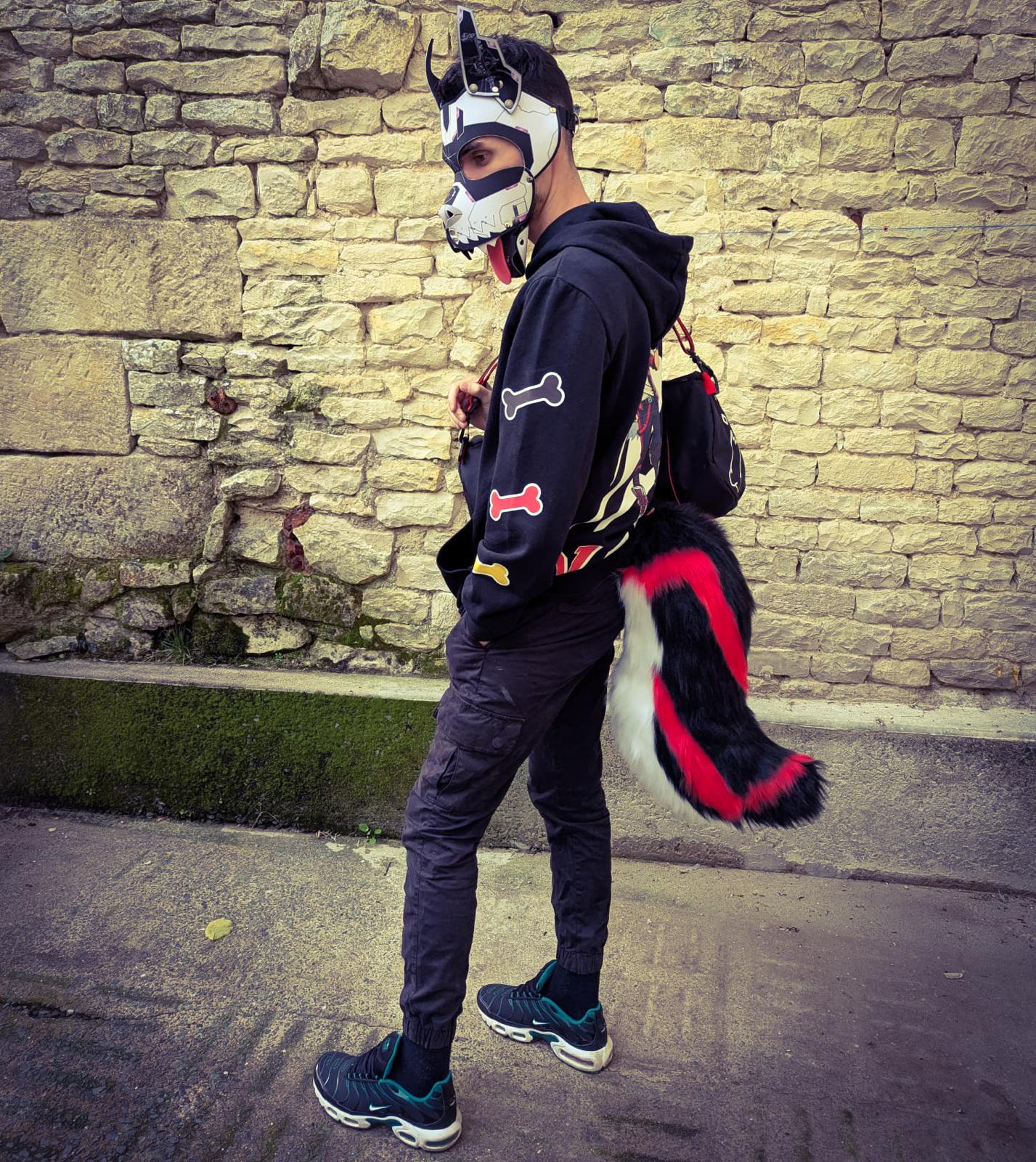 Modèle "WOLF ROVER"