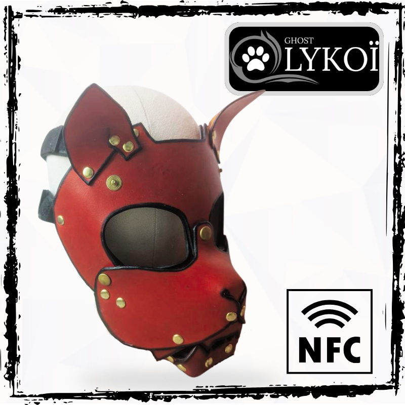 Leather Mask ZOAN "CAT"