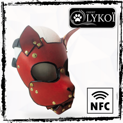 Leather Mask ZOAN "CAT"