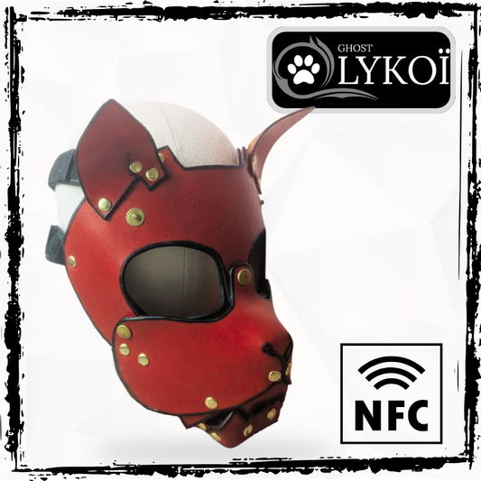 Leather Mask ZOAN "CAT"