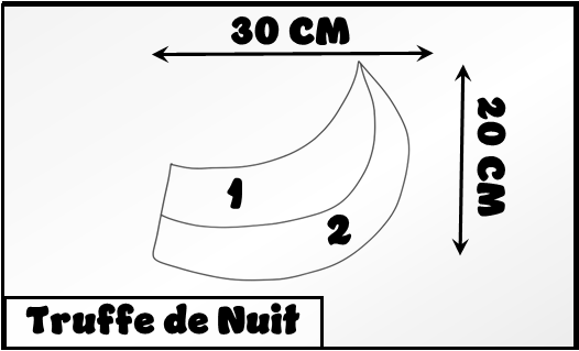 Modèle "TRUFFE DE NUIT"