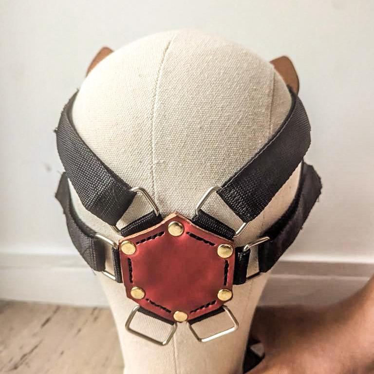 Leather Mask ZOAN "CAT"